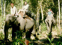 Elephant riding on a trekking of Johnny Boy  (10.3 K)